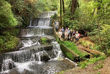 Korokoro4.jpg: 800x538, 285k (2022 Jun 02 09:05)