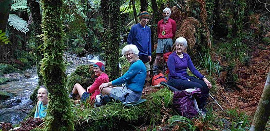 Kaitawa2.jpg: 1647x802, 662k (2022 Jul 31 00:52)