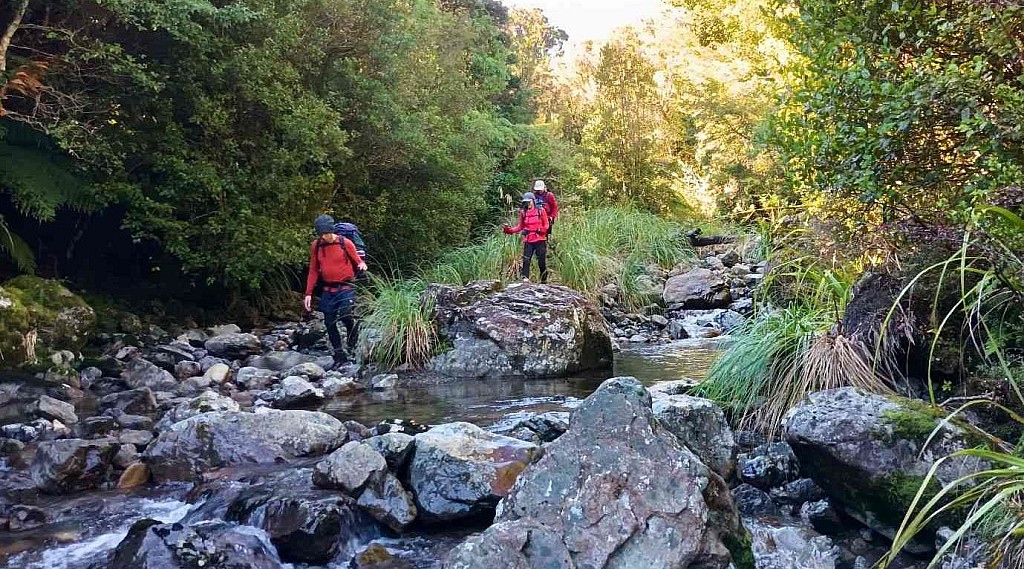 click on the photo to download the original image

Burn4