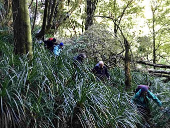 Paraparaumu1.jpg: 1417x1064, 704k (2022 Sep 14 23:12)