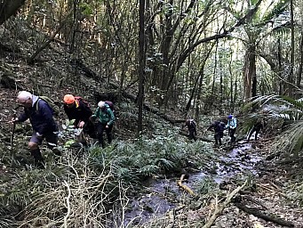 Paraparaumu2.jpg: 1024x768, 434k (2022 Sep 14 23:18)