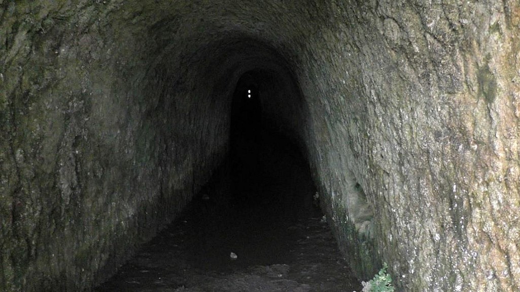 click on the photo to download the original image

Hawkesbay2