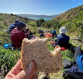 Whitireia3.jpg: 707x668, 166k (2023 May 30 08:36)