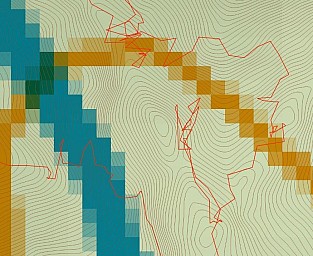 Pigeon3.jpg: 875x716, 227k (2023 Aug 01 23:29)