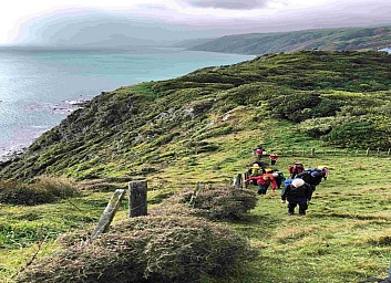 Pukerua1.jpg: 1092x792, 432k (2023 Sep 08 10:09)