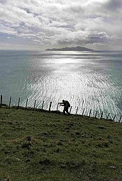 Pukerua2.jpg: 730x1089, 190k (2023 Sep 08 10:09)