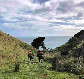 Pukerua4.jpg: 809x766, 249k (2023 Sep 08 10:10)