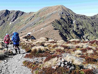 Hector2.jpg: 1235x926, 733k (2023 Oct 01 23:13)