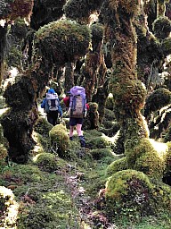 Neill2.jpg: 1497x1998, 1026k (2023 Nov 05 23:20)