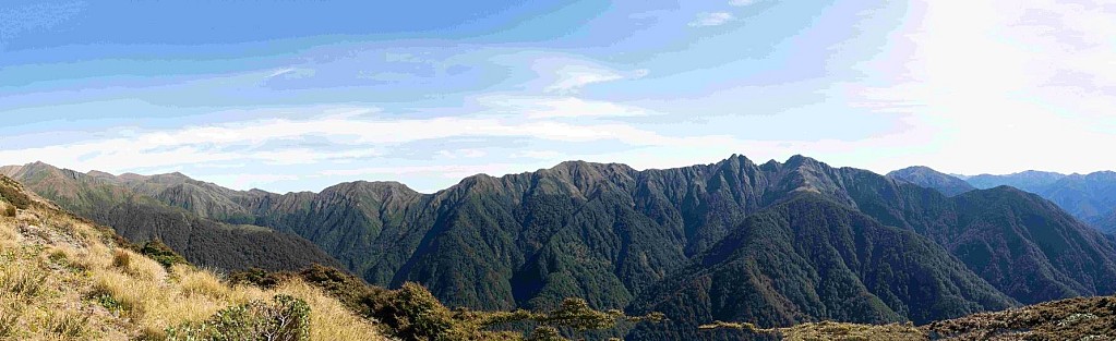 click on the photo to download the original image

Neill1