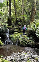 Reff C 2
Original size:&nbsp;765 x 1,202; 490 kB
Filename:&nbsp;'ReffC2'