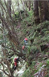 Water C
Original size:&nbsp;538 x 839; 193 kB
Filename:&nbsp;'WaterC'