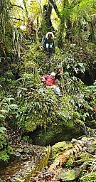 Watercourse 1
Original size:&nbsp;796 x 1,508; 695 kB
Filename:&nbsp;'Watercourse1'