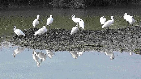 Hawkes B 3
Original size:&nbsp;845 x 474; 181 kB
Filename:&nbsp;'HawkesB3'