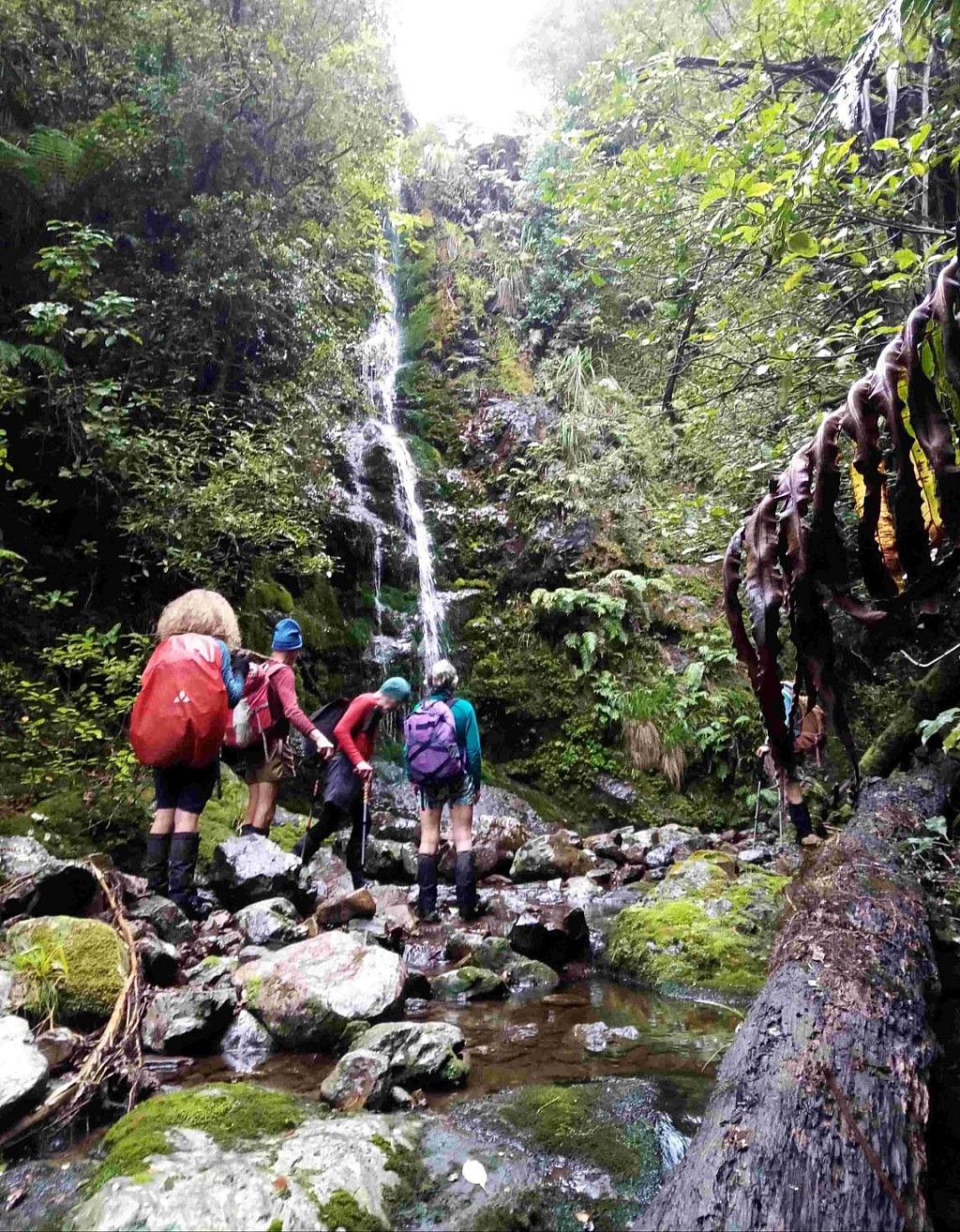 click on the photo to download the original image

Smiths3