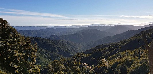 Wainui 4
Original size:&nbsp;1,557 x 749; 321 kB
Filename:&nbsp;'Wainui4'