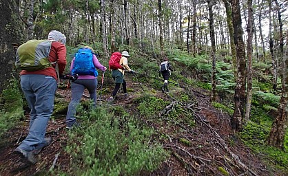 Eastbourne 2
Original size:&nbsp;877 x 537; 259 kB
Filename:&nbsp;'Eastbourne2'