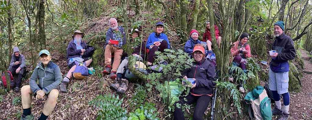 click on the photo to download the original image

Percy