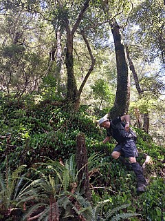 2 Graham descending to the stream bed
Photo:&nbsp;Mike Voets
2025-11-08&nbsp;12.06.11&nbsp;Photo:&nbsp;'2025 Nov 08 12:06'
Original size:&nbsp;3,468 x 4,624; 6,331 kB
Filename:&nbsp;'2025-11-08 12.06.11 2 Mike Voets - Graham descending to the stream bed'