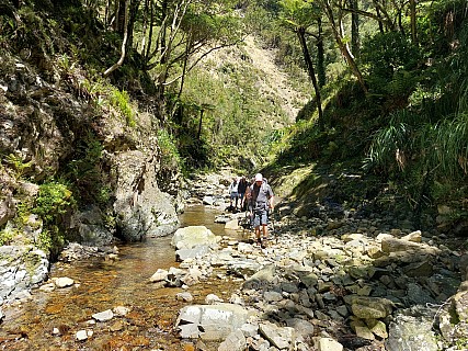 4 Turere stream
Photo:&nbsp;Mike Voets
2025-11-08&nbsp;12.20.52&nbsp;Photo:&nbsp;'2025 Nov 08 12:20'
Original size:&nbsp;4,624 x 3,468; 6,892 kB
Filename:&nbsp;'2025-11-08 12.20.52 4 Mike Voets - Turere stream'