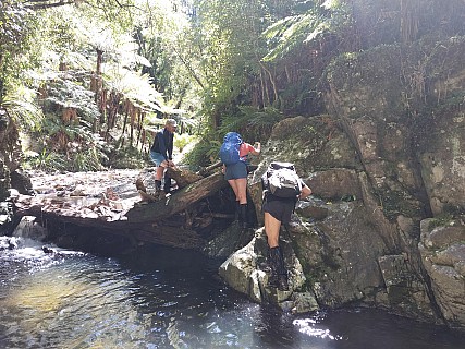 5 Scrambling
Photo:&nbsp;Mike Voets
2025-11-08&nbsp;14.00.36&nbsp;Photo:&nbsp;'2025 Nov 08 14:00'
Original size:&nbsp;4,624 x 3,468; 5,549 kB
Filename:&nbsp;'2025-11-08 14.00.36 5 Mike Voets - Scrambling'