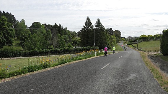 S 1310013 resized
Photo:&nbsp;'2025 Dec 12 10:28'
Original size:&nbsp;4,992 x 2,808; 2,145 kB
Filename:&nbsp;'S1310013 resized'