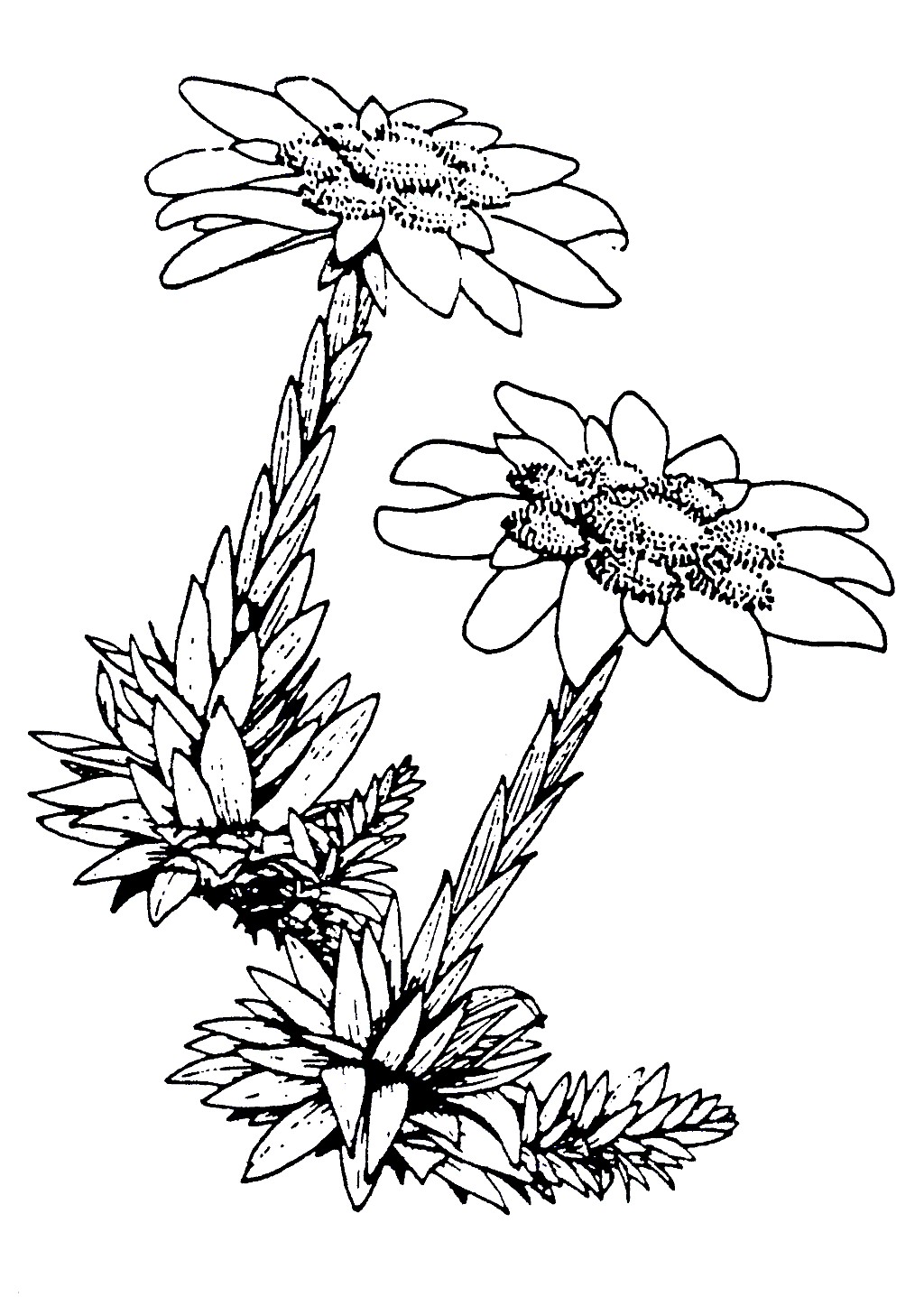 click on the photo to download the original image

Old_TTC_Logo_HiRes