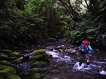 click to see gallery

Trampers in river
Photo: P Whiteford
; '2012 Apr 25 13:47'
Original size: 800 x 600; 474 kB
Filename: 