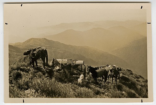 click on the photo and click again on the photo to download the original image

19qq ttc019 horse packing hut material