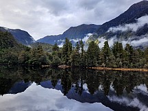 click to see gallery

Fiona Mc Kinney Dusky Sound Blues
Photo: Fiona Mc Kinney
Photo: '2021 Jun 26 13:26'
Original size: 4,000 x 3,000; 2,945 kB
Filename: 'BBNTararuaTCFionaMcKinneyDuskySoundBlues'