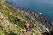 click to see gallery

Escarpment Track Paekakariki 
Photo: Jim Gibbons
; '2025 May 21 10:43'
Original size: 6,000 x 4,000; 4,821 kB
Filename: 